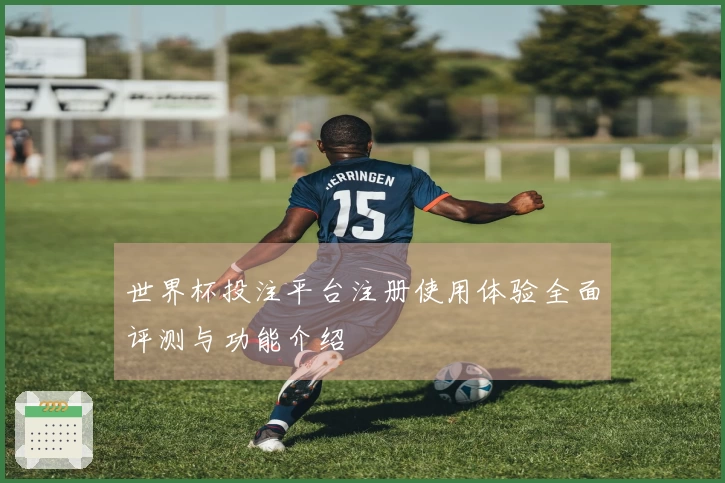 世界杯投注平台注册使用体验全面评测与功能介绍