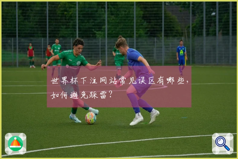 世界杯下注网站常见误区有哪些,如何避免踩雷?