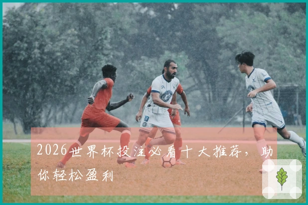 2026世界杯投注必看十大推荐，助你轻松盈利