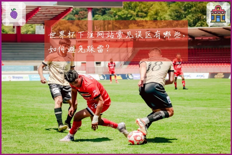 世界杯下注网站常见误区有哪些，如何避免踩雷？
