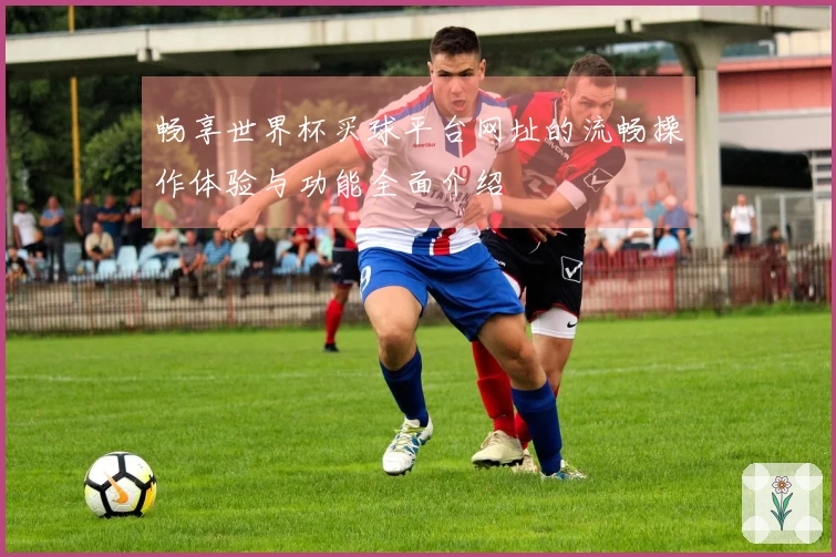 畅享世界杯买球平台网址的流畅操作体验与功能全面介绍