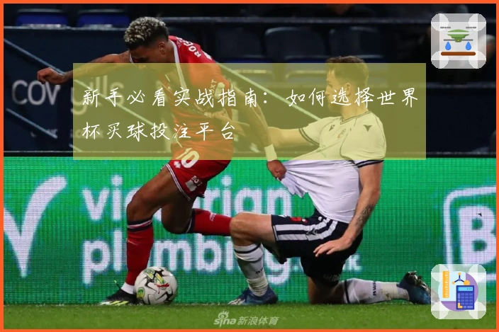 新手必看实战指南：如何选择世界杯买球投注平台