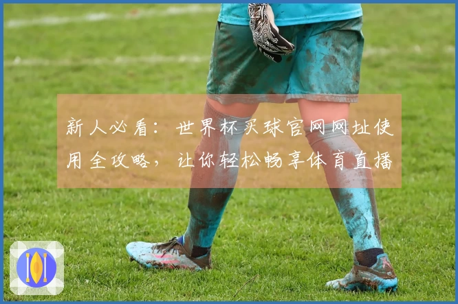 新人必看：世界杯买球官网网址使用全攻略，让你轻松畅享体育直播体验