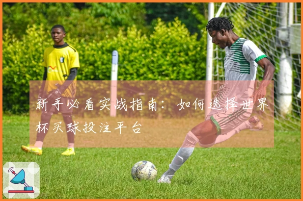 新手必看实战指南：如何选择世界杯买球投注平台