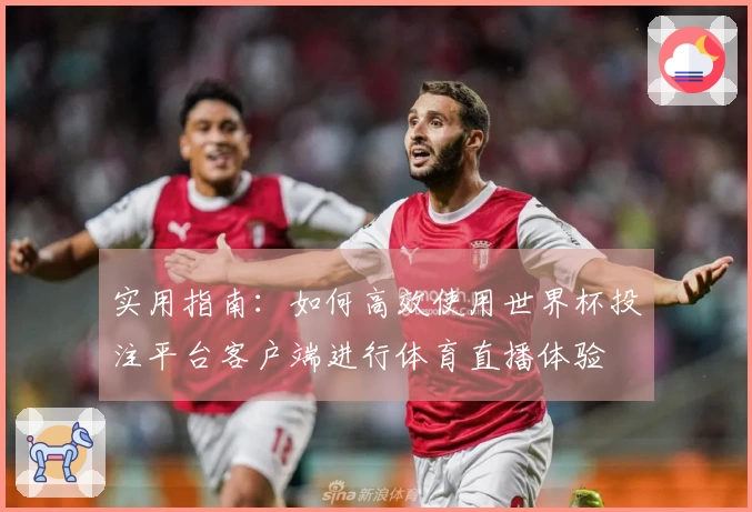 实用指南：如何高效使用世界杯投注平台客户端进行体育直播体验
