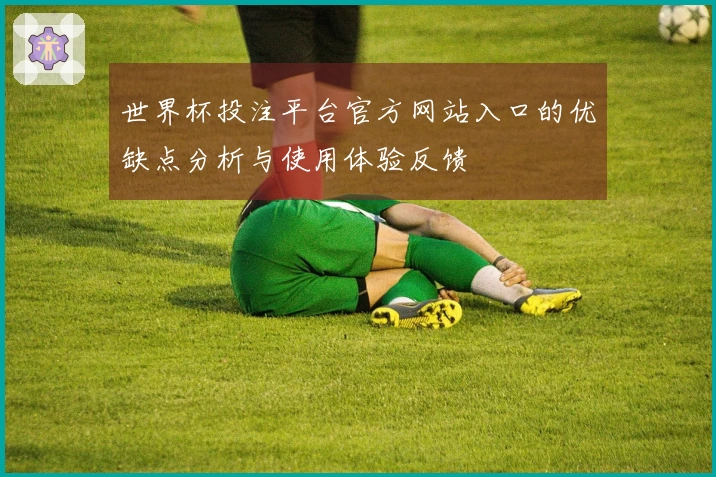 世界杯投注平台官方网站入口的优缺点分析与使用体验反馈