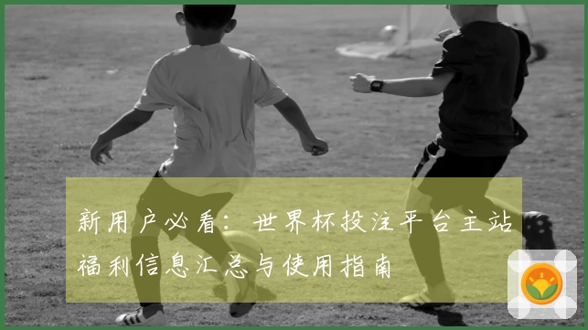新用户必看：世界杯投注平台主站福利信息汇总与使用指南