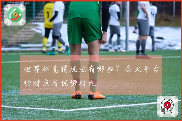 世界杯竞猜玩法有哪些？各大平台的特点与优势对比
