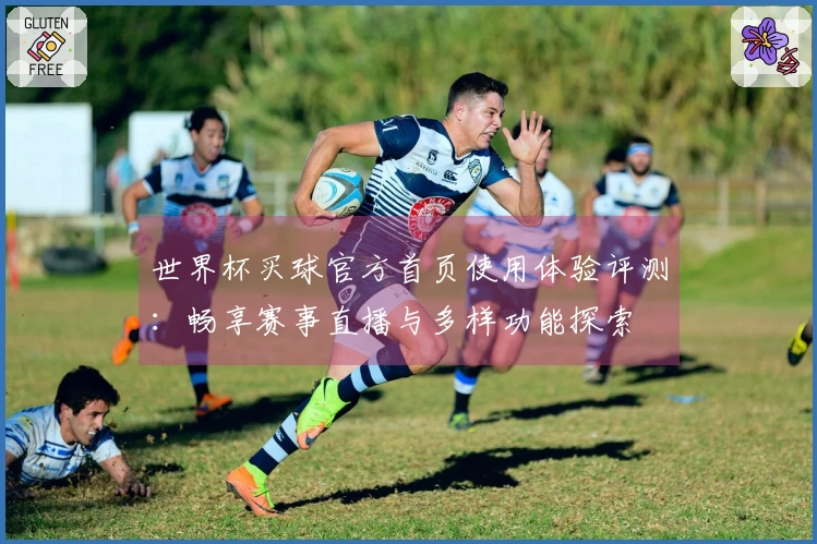 世界杯买球官方首页使用体验评测：畅享赛事直播与多样功能探索