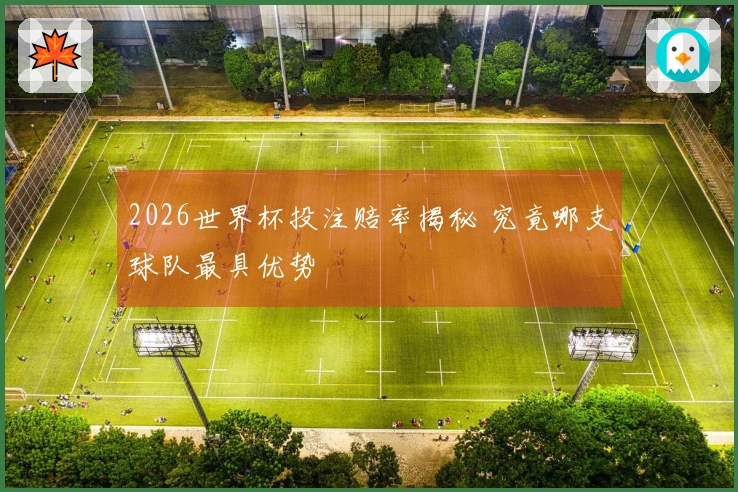2026世界杯投注赔率揭秘 究竟哪支球队最具优势