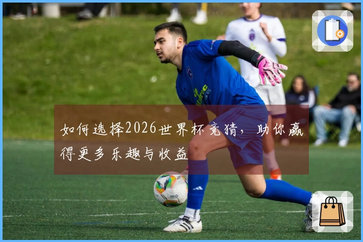 如何选择2026世界杯竞猜，助你赢得更多乐趣与收益