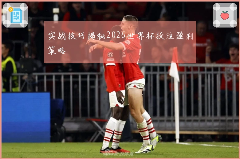 实战技巧揭秘2026世界杯投注盈利策略