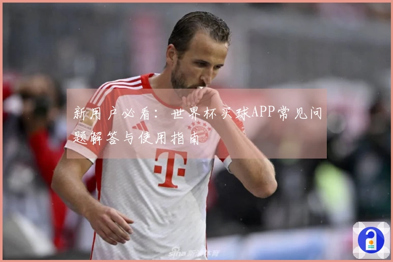 新用户必看:世界杯买球APP常见问题解答与使用指南