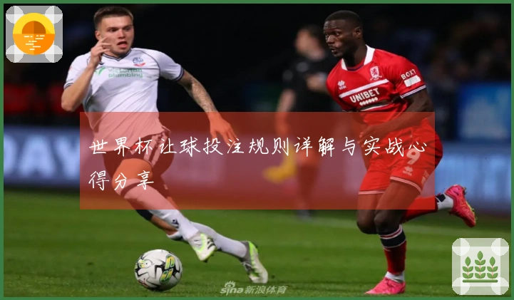 世界杯让球投注规则详解与实战心得分享