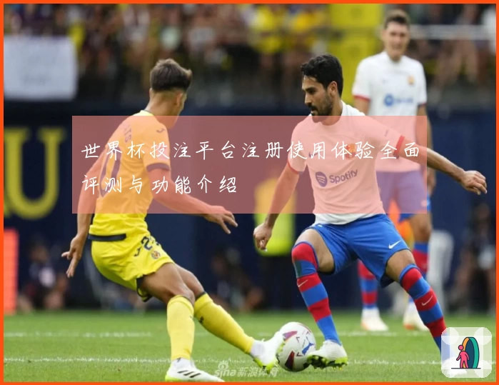 世界杯投注平台注册使用体验全面评测与功能介绍
