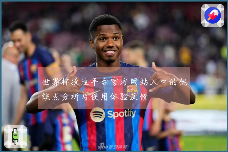 世界杯投注平台官方网站入口的优缺点分析与使用体验反馈